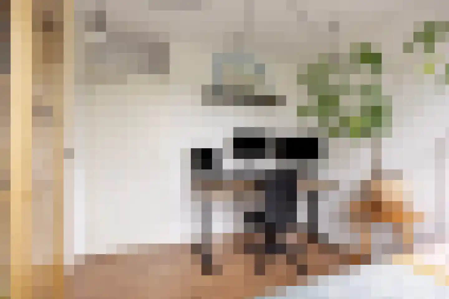 Leidekkerstraat 21 Alkmaar thumbnail 33