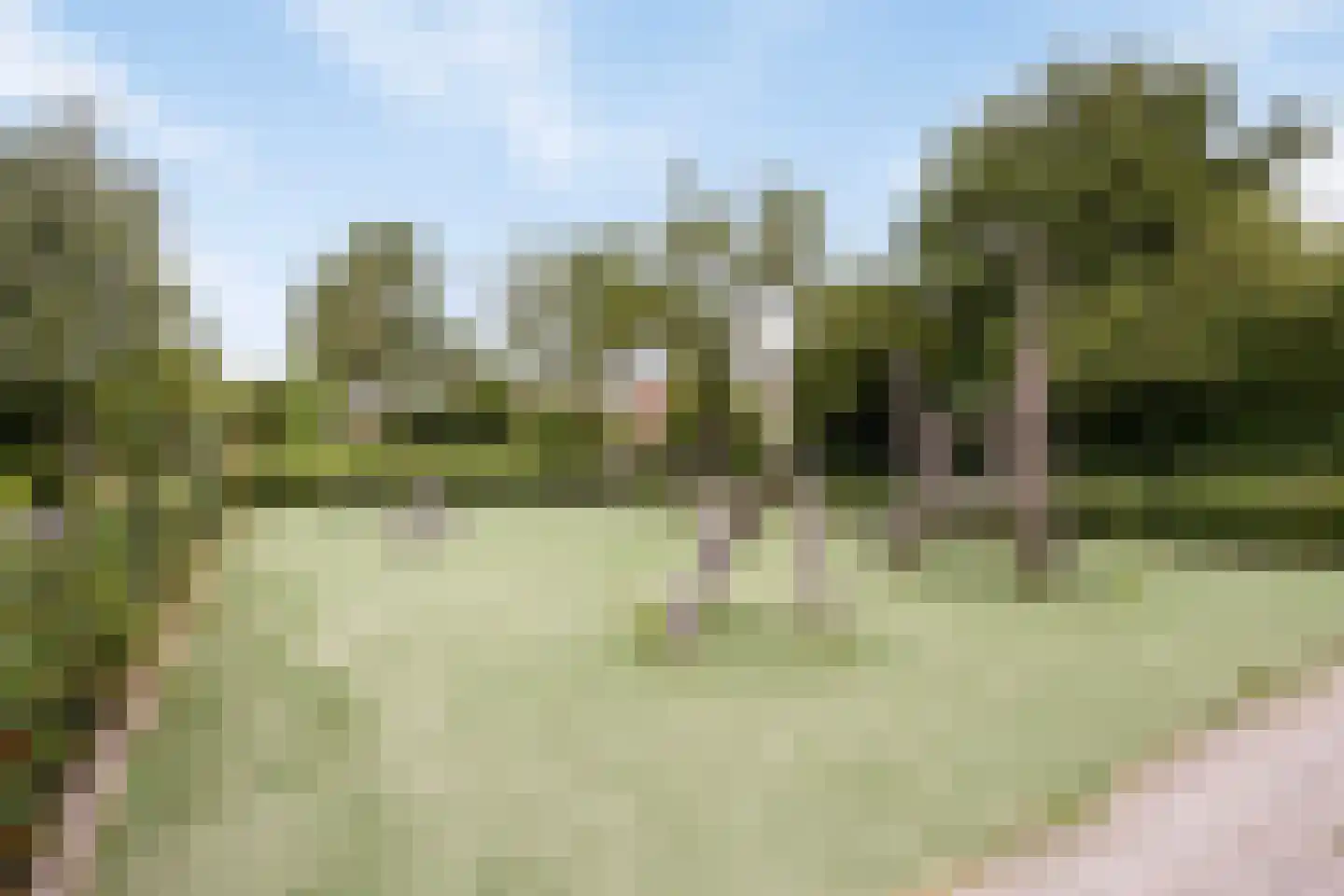 Leidekkerstraat 21 Alkmaar thumbnail 36