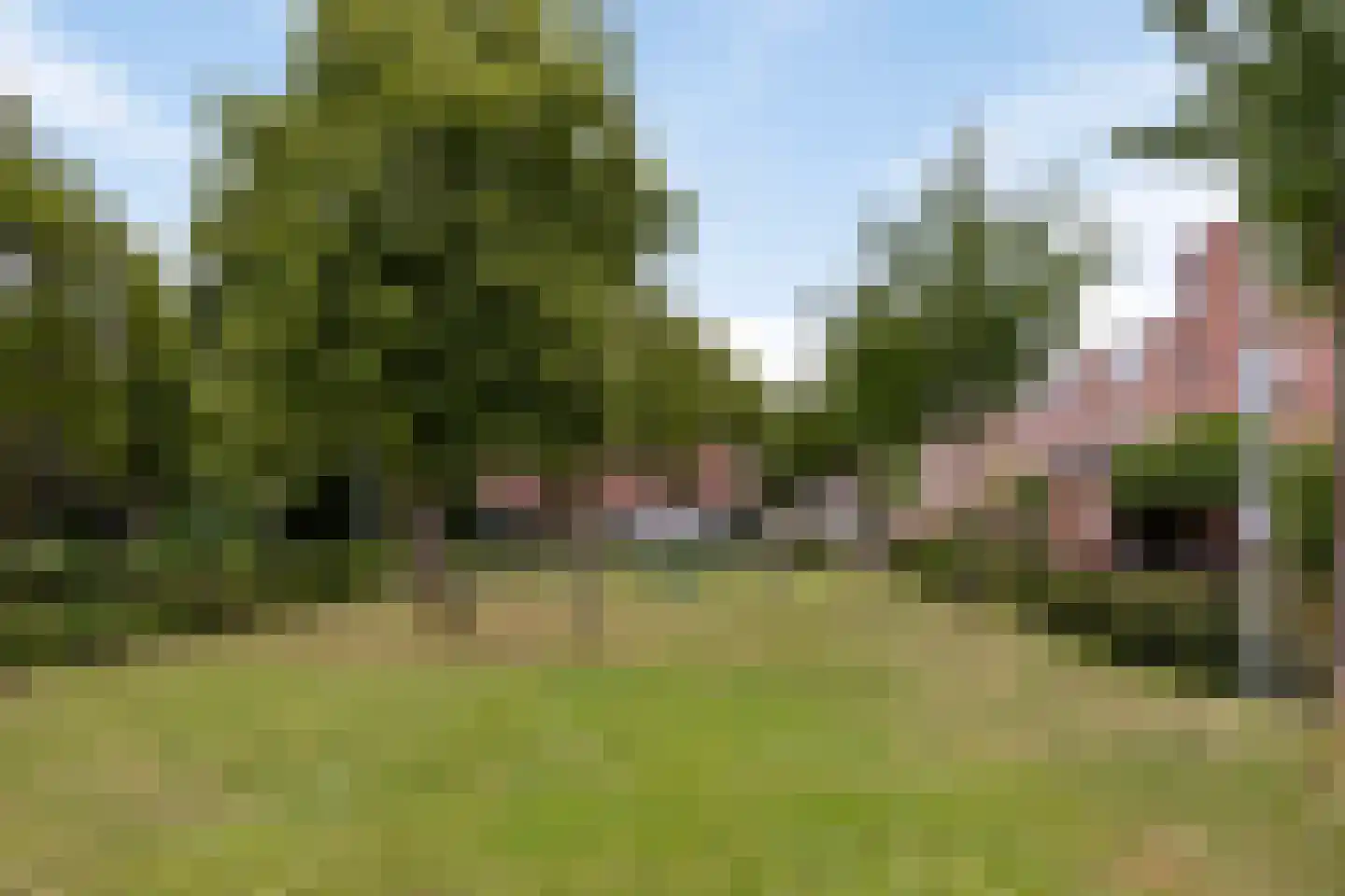 Leidekkerstraat 21 Alkmaar thumbnail 37