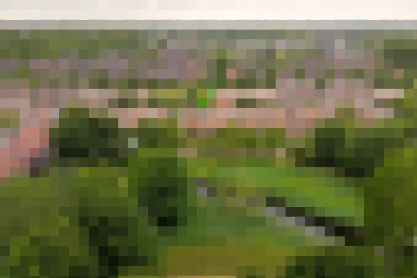 Leidekkerstraat 21 Alkmaar thumbnail 4