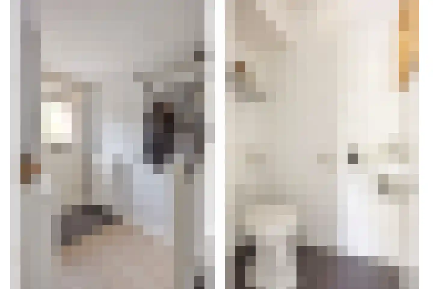 Leidekkerstraat 21 Alkmaar thumbnail 7