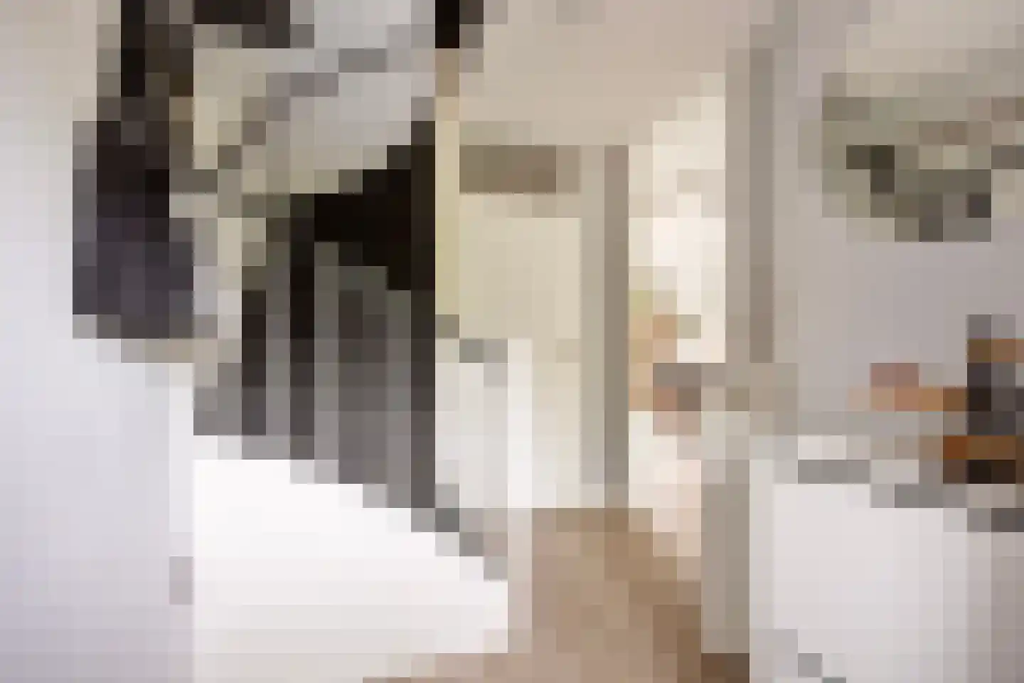 Leidekkerstraat 21 Alkmaar thumbnail 8