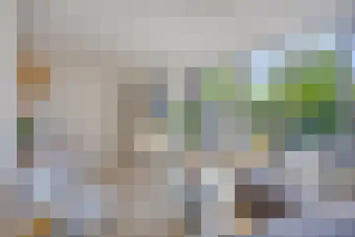 Leidekkerstraat 27 Alkmaar thumbnail 18