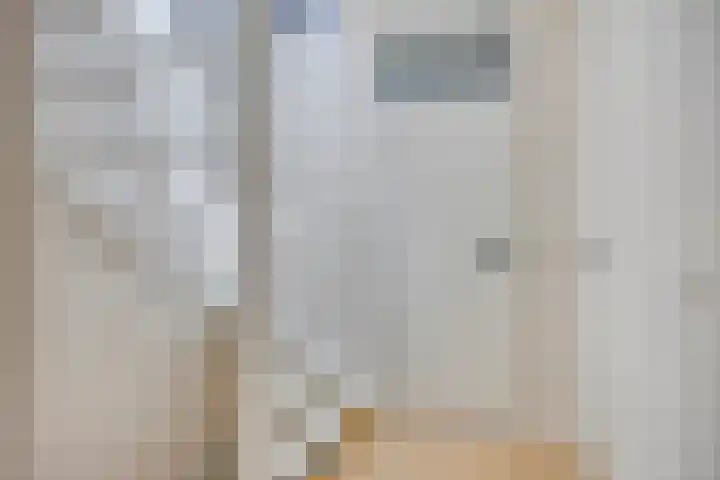 Leidekkerstraat 27 Alkmaar thumbnail 22