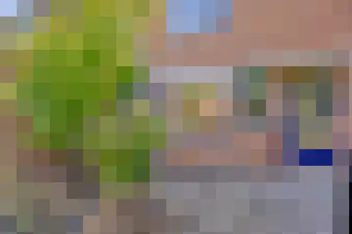 Leidekkerstraat 27 Alkmaar thumbnail 6