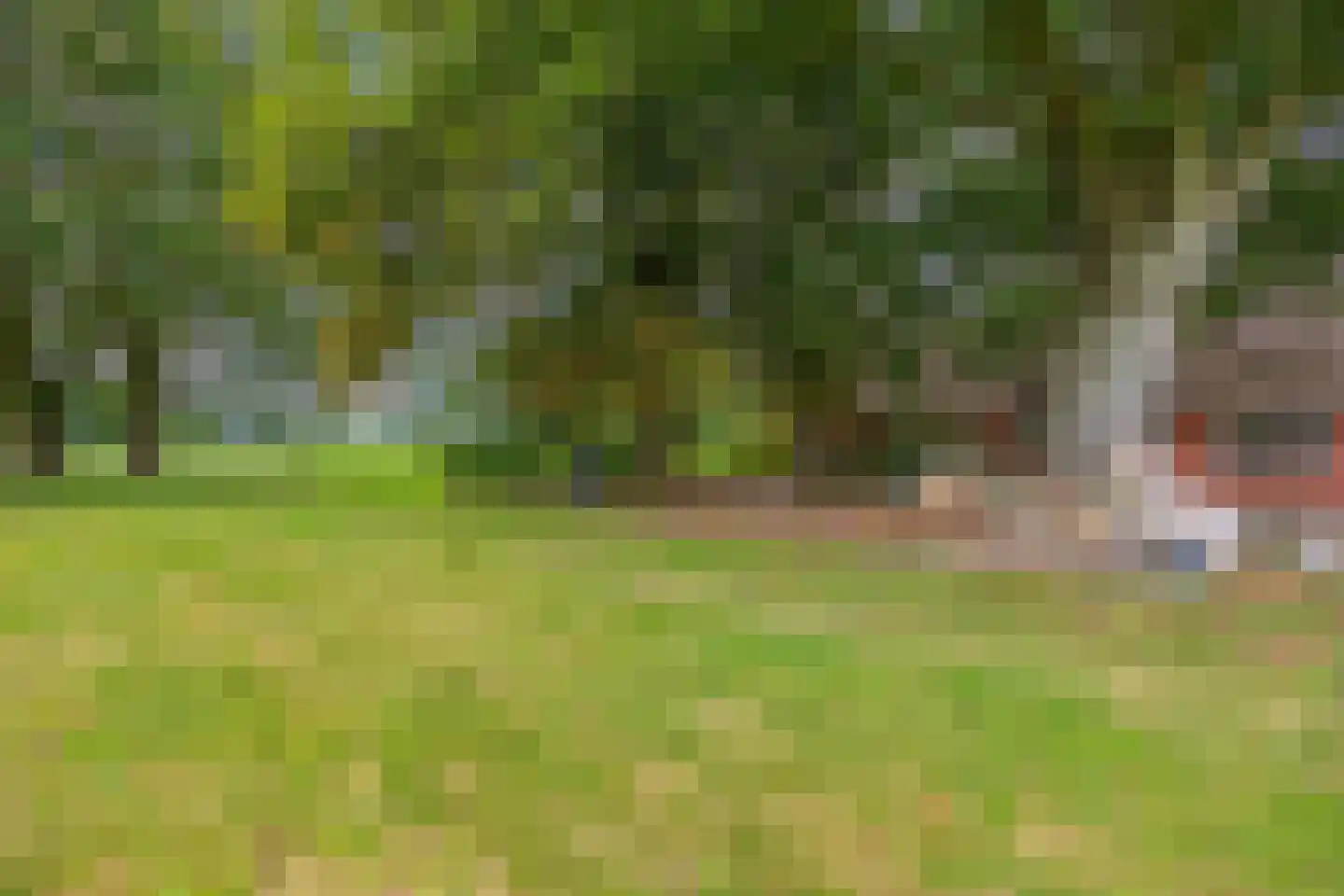 Leidijk 1 A Opende thumbnail 11