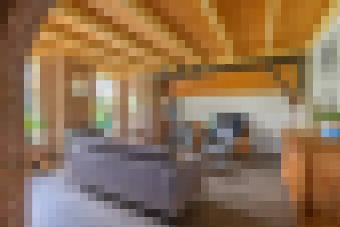 Leidijk 1 A Opende thumbnail 13
