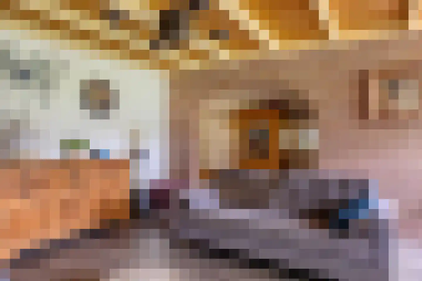 Leidijk 1 A Opende thumbnail 16