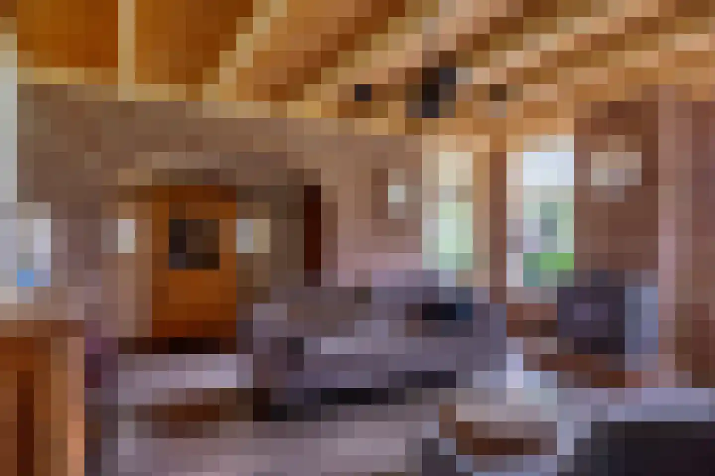 Leidijk 1 A Opende thumbnail 17