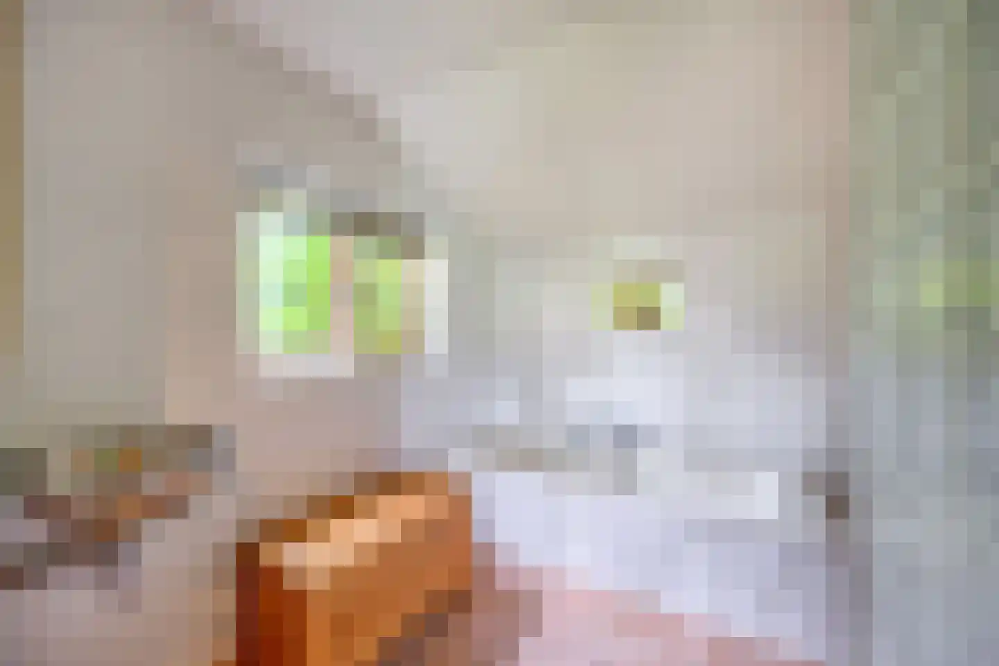 Leidijk 1 A Opende thumbnail 25