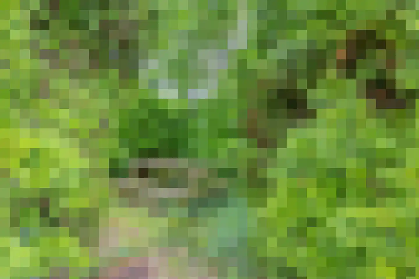 Leidijk 1 A Opende thumbnail 36