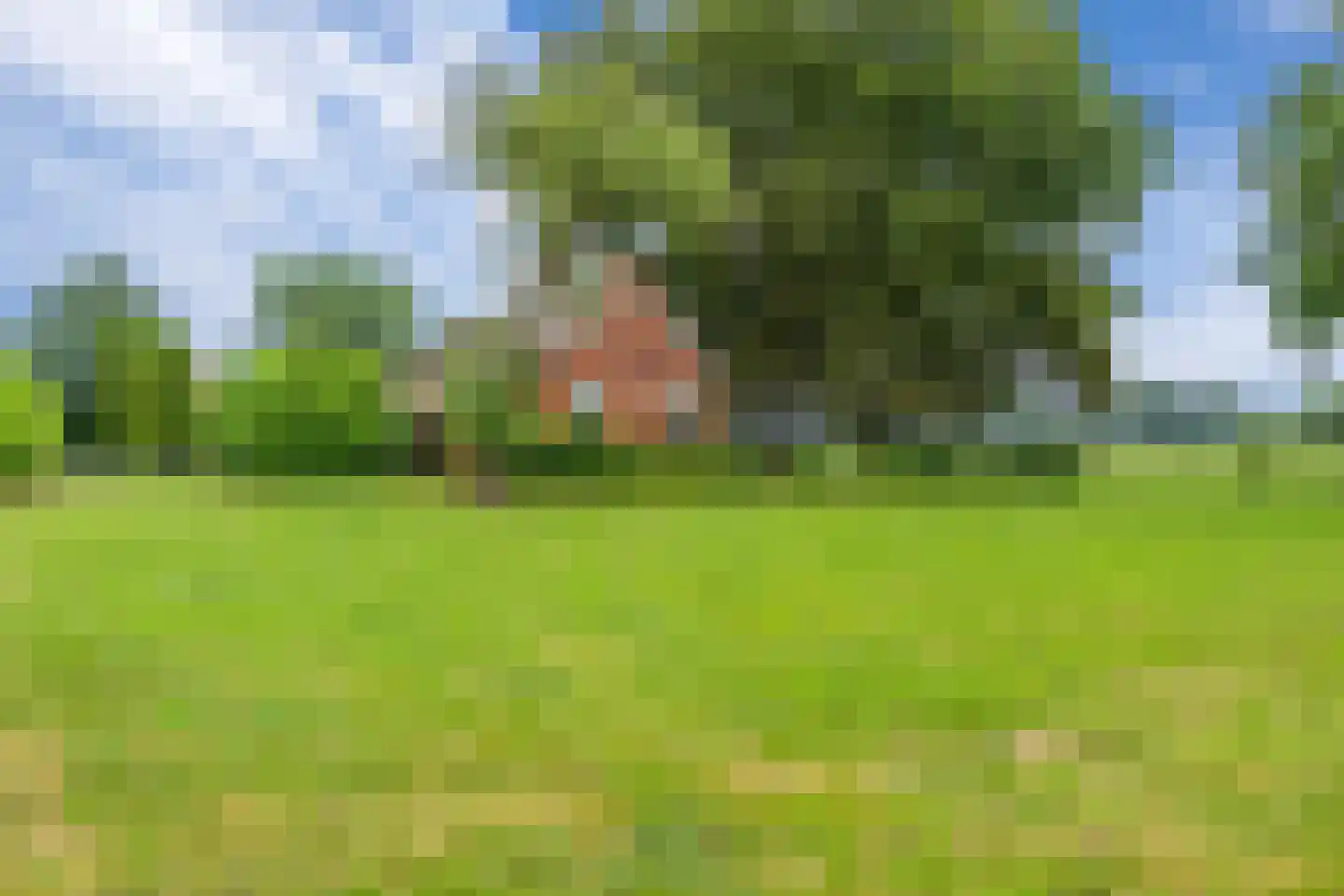 Leidijk 1 A Opende thumbnail 4