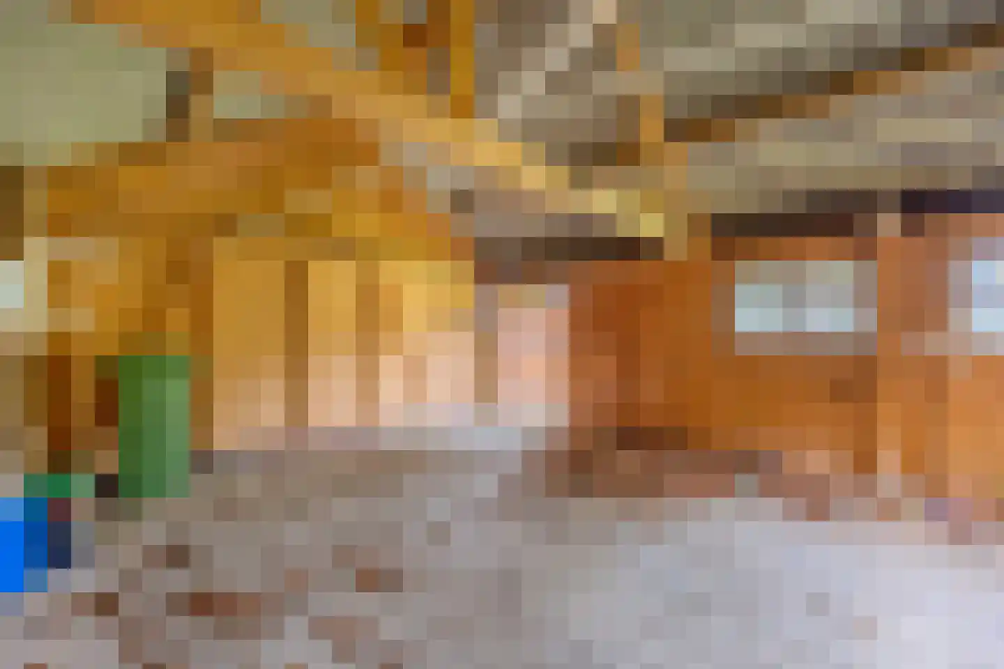 Leidijk 1 A Opende thumbnail 40