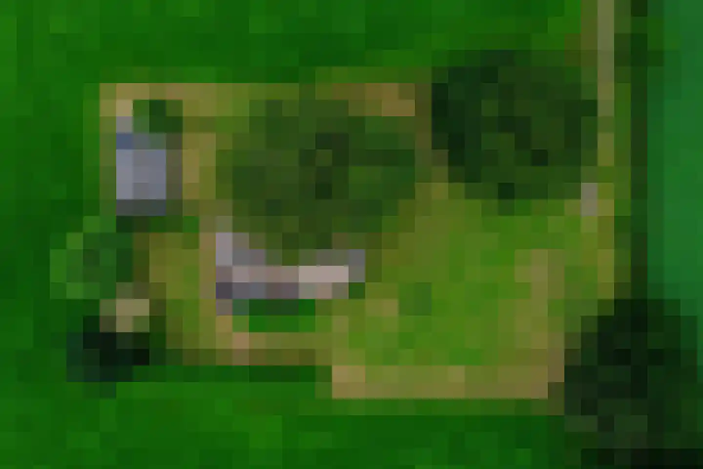 Leidijk 1 A Opende thumbnail 41