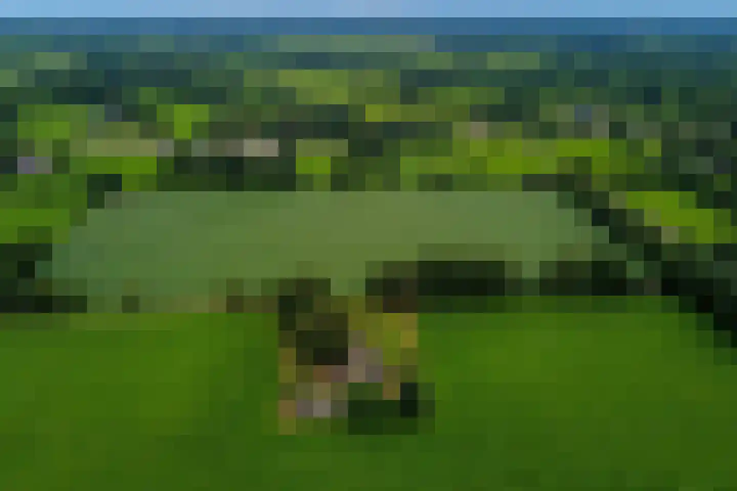 Leidijk 1 A Opende thumbnail 42