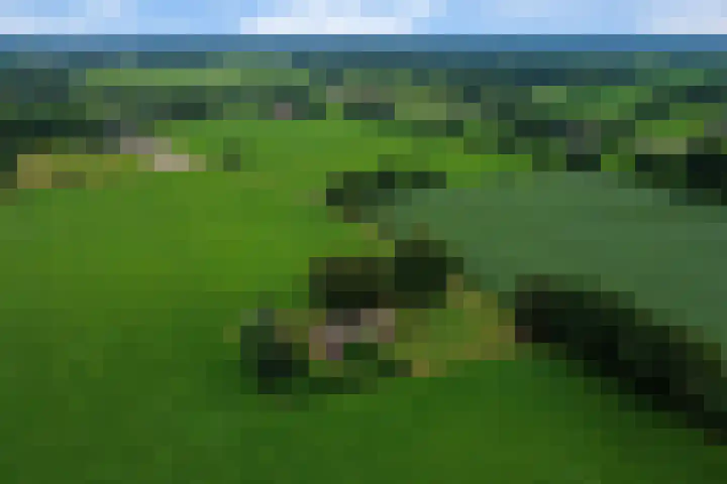 Leidijk 1 A Opende thumbnail 43
