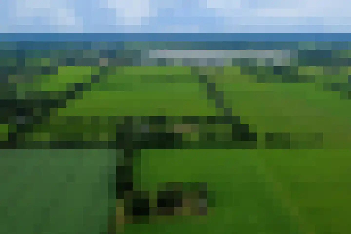 Leidijk 1 A Opende thumbnail 44
