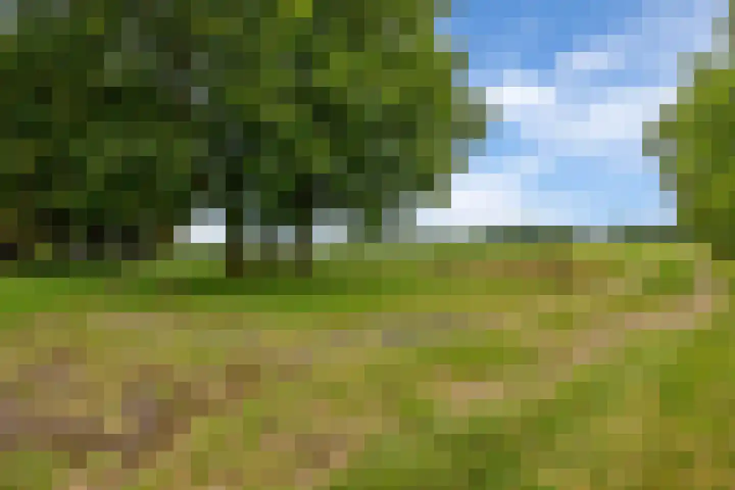 Leidijk 1 A Opende thumbnail 7