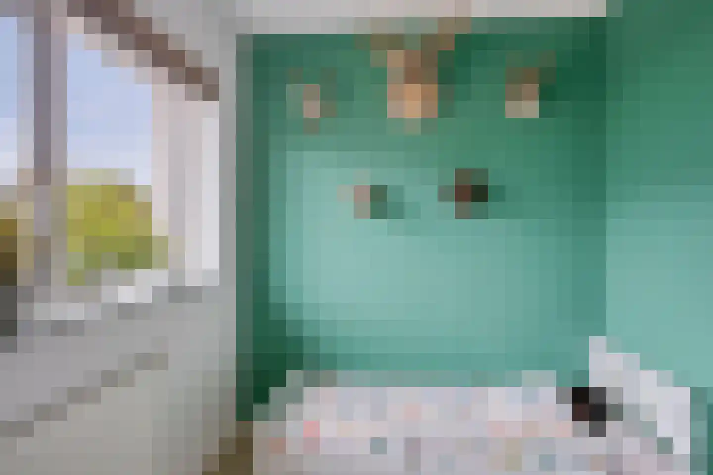 Leidijk 10 Bemmel thumbnail 22