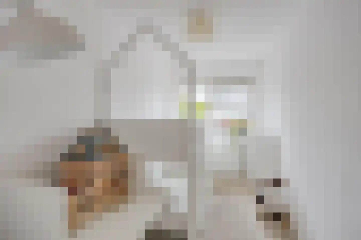 Leidijk 10 Bemmel thumbnail 24