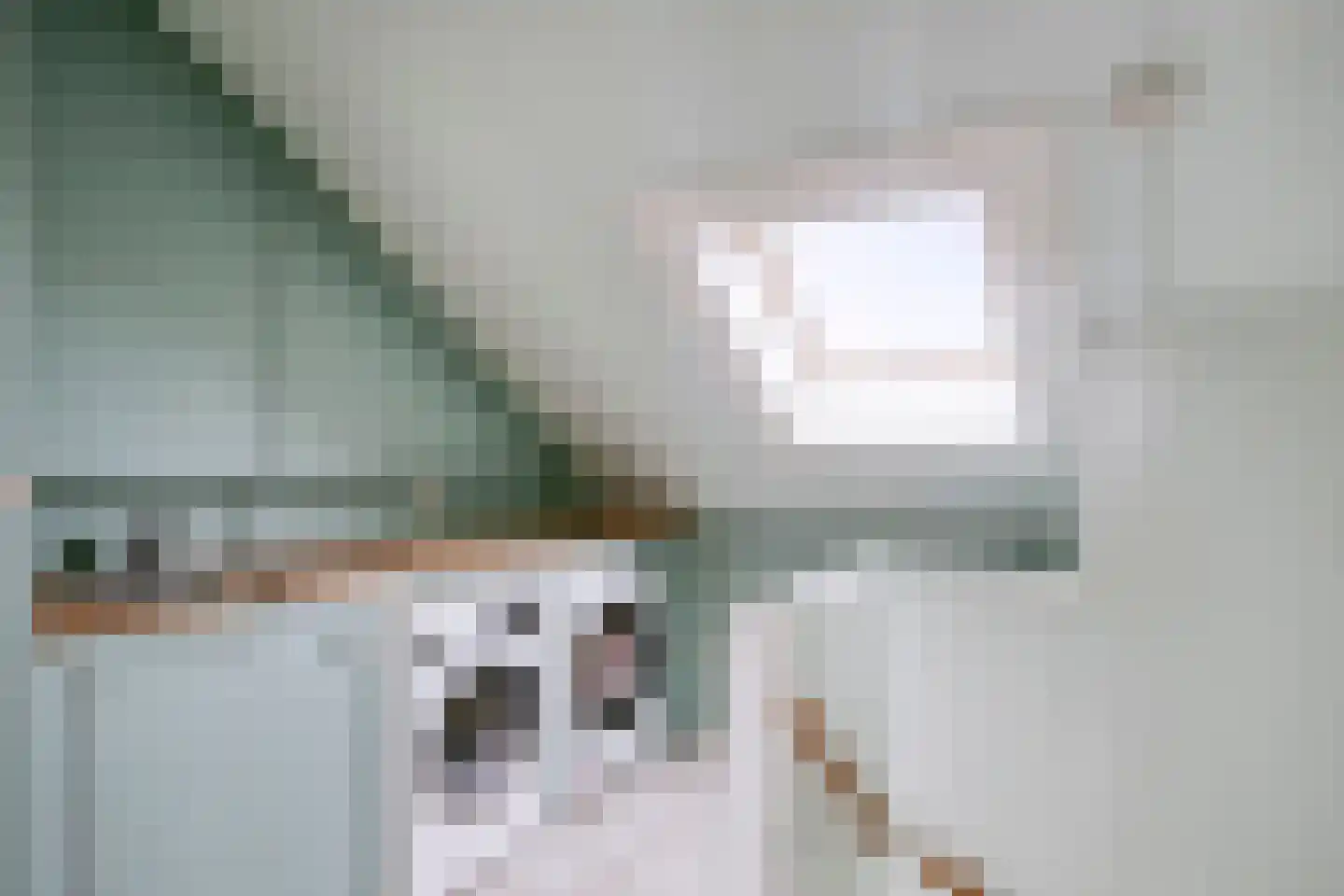 Leidijk 10 Bemmel thumbnail 30