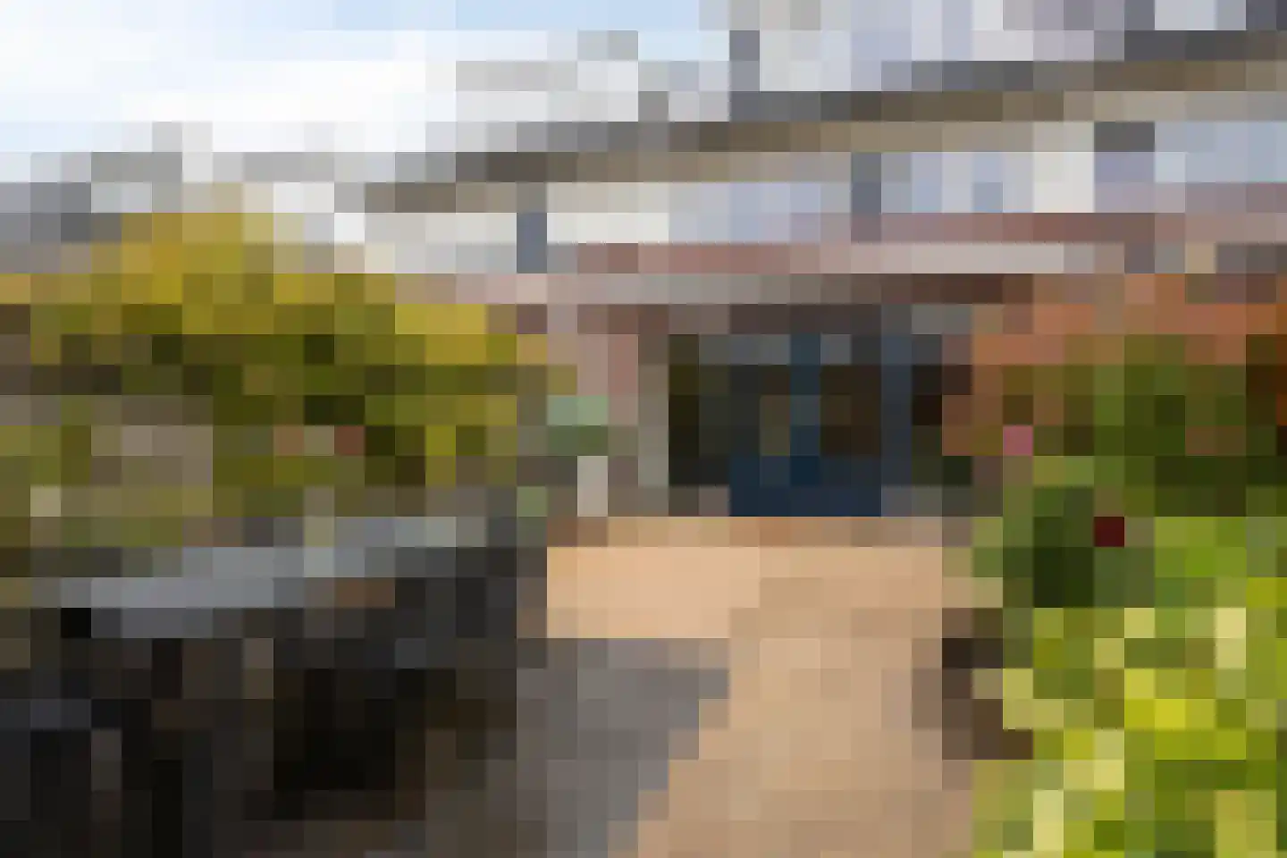 Leidijk 10 Bemmel thumbnail 33