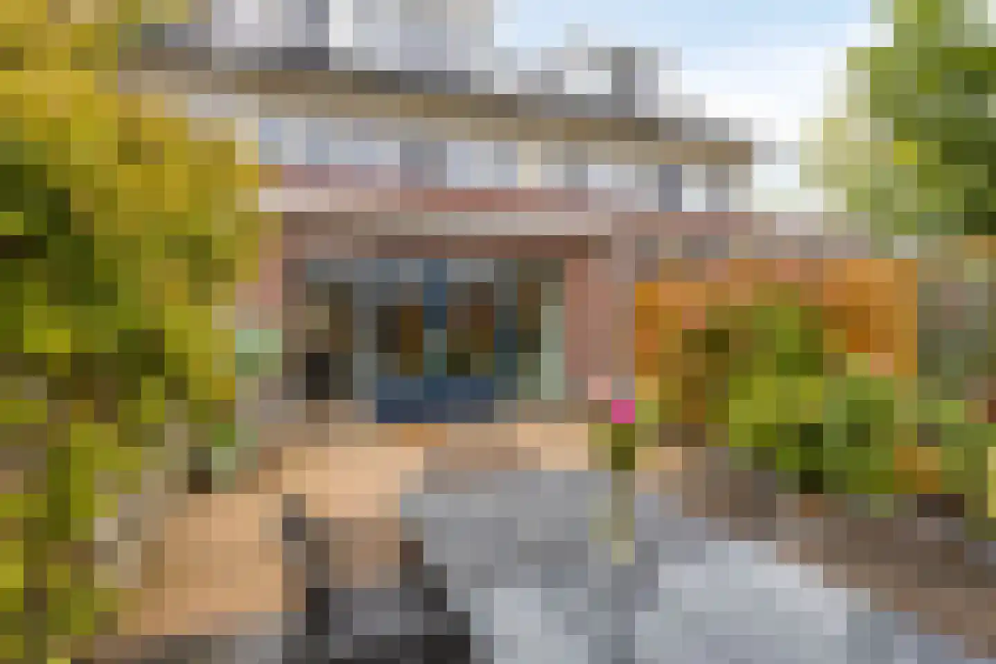 Leidijk 10 Bemmel thumbnail 35