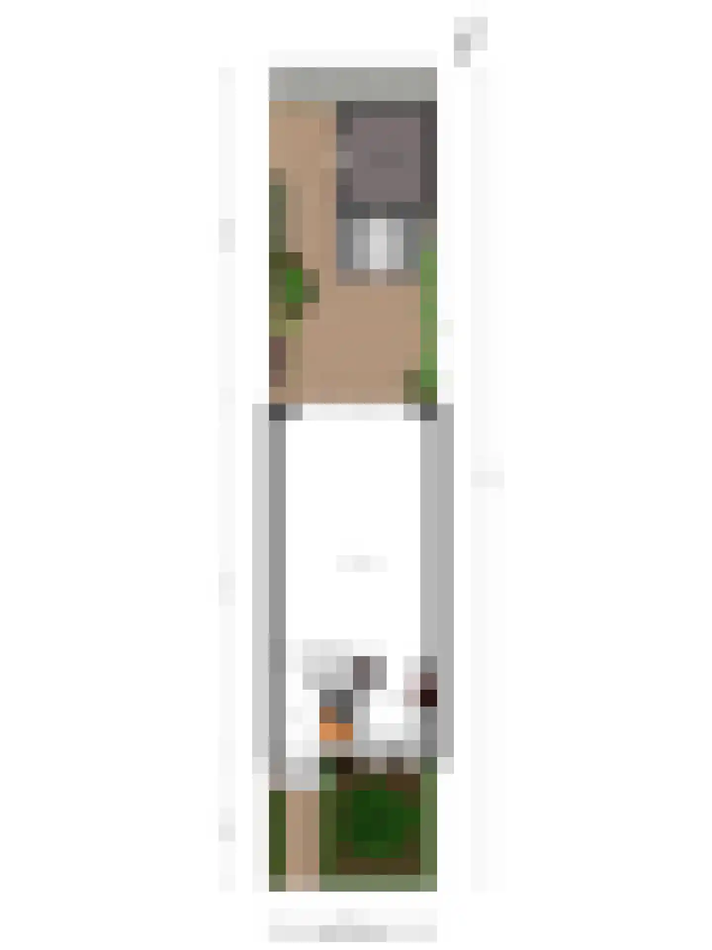 Leidijk 10 Bemmel thumbnail 36