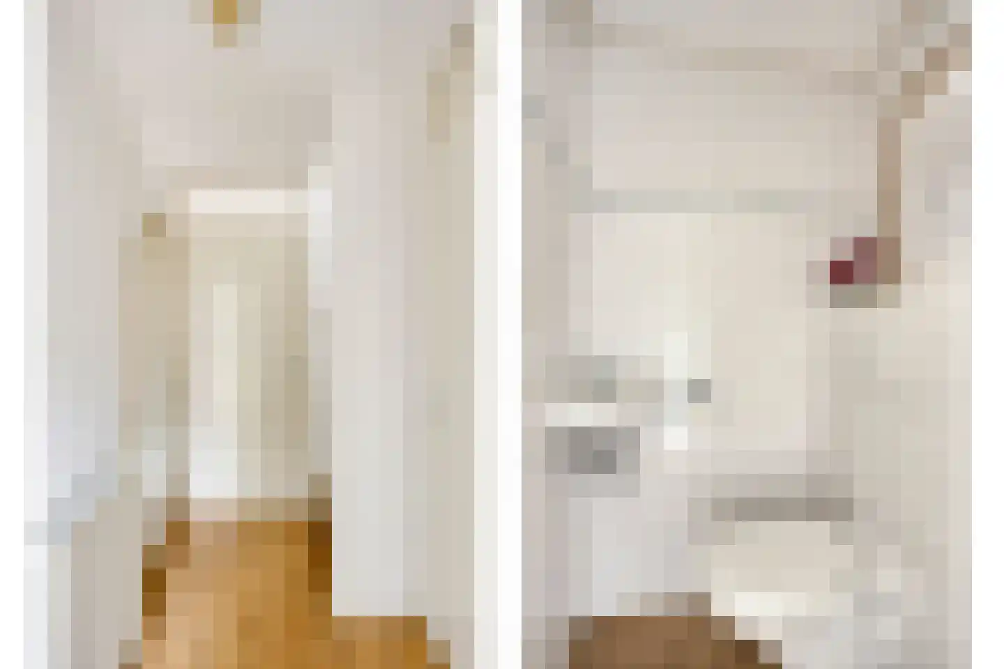 Leidijk 10 Bemmel thumbnail 5