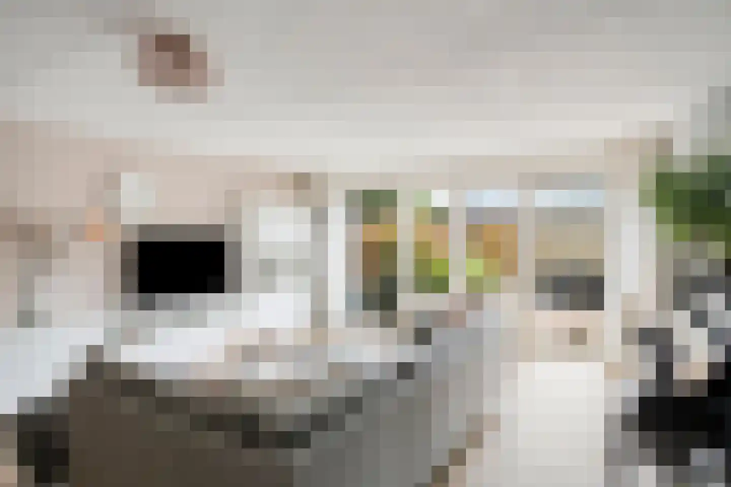 Leidijk 10 Bemmel thumbnail 7