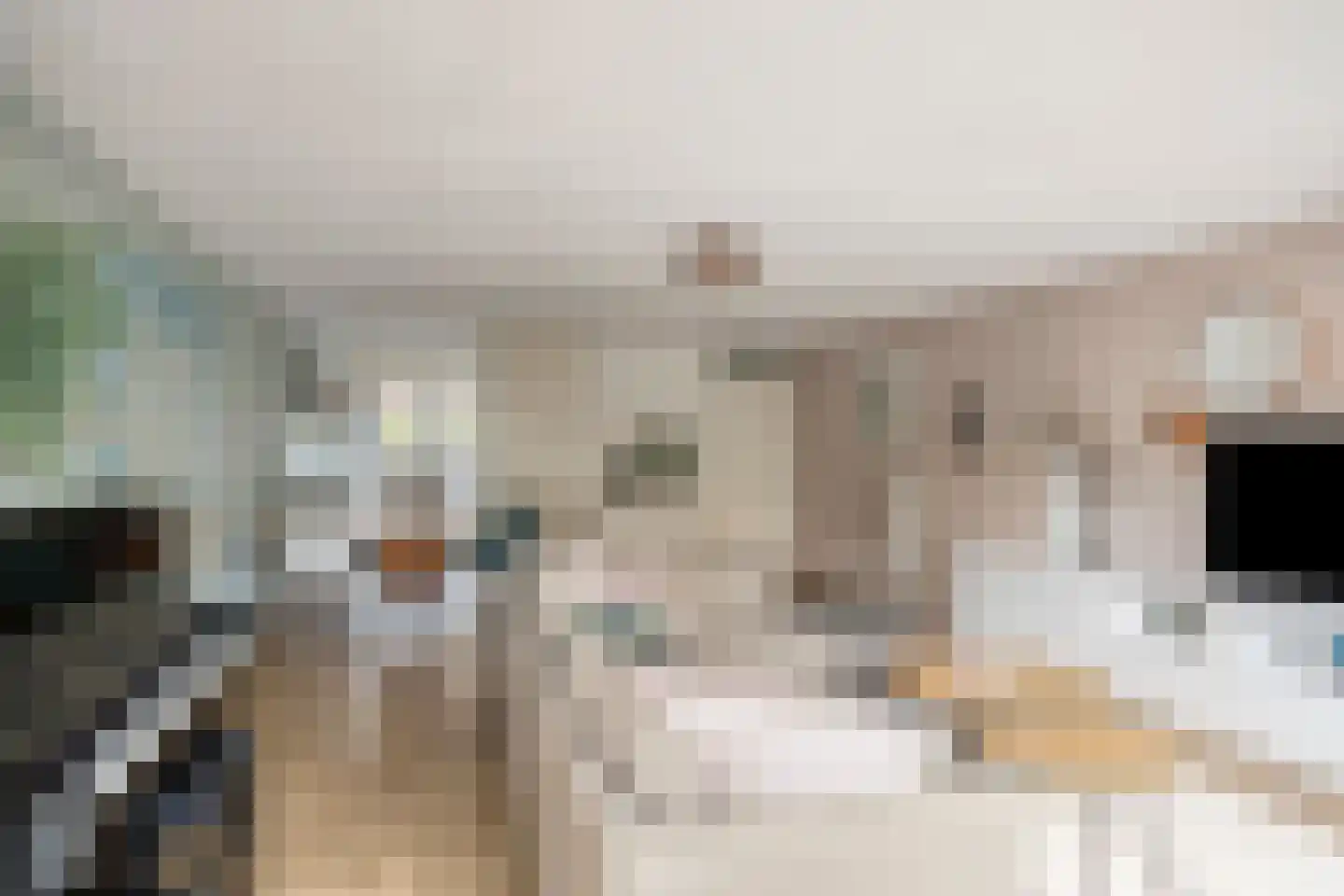 Leidijk 10 Bemmel thumbnail 8