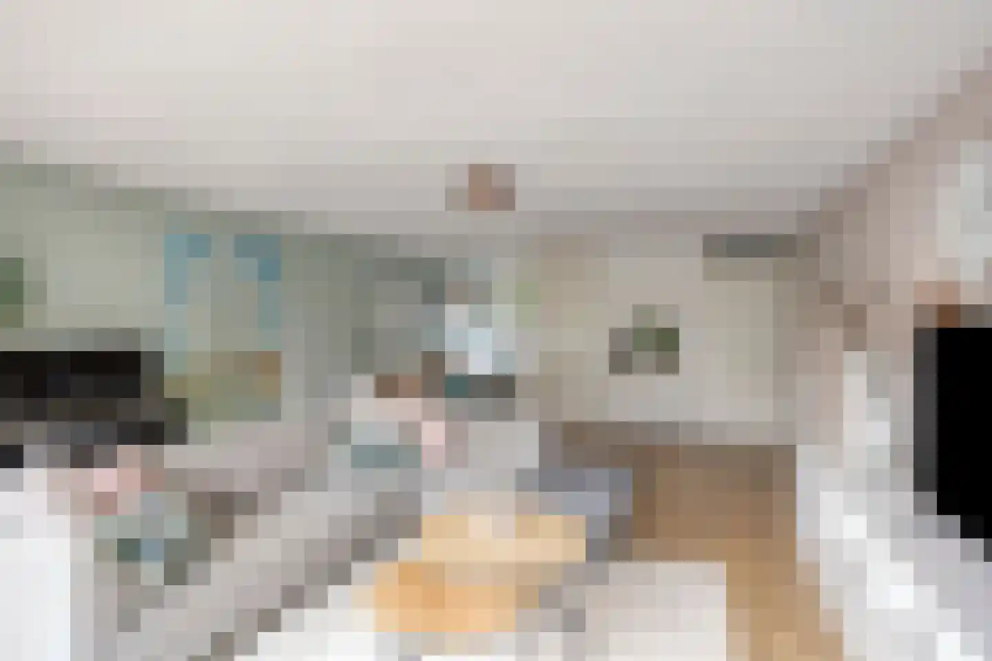 Leidijk 10 Bemmel thumbnail 9