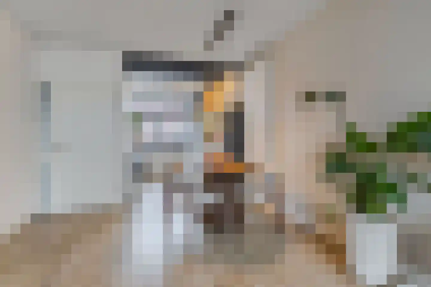 Leidijk 100 Drachten thumbnail 13