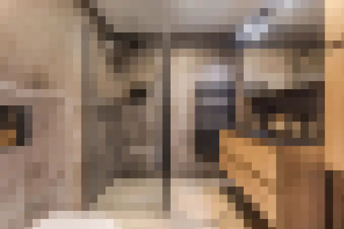Leidijk 100 Drachten thumbnail 20