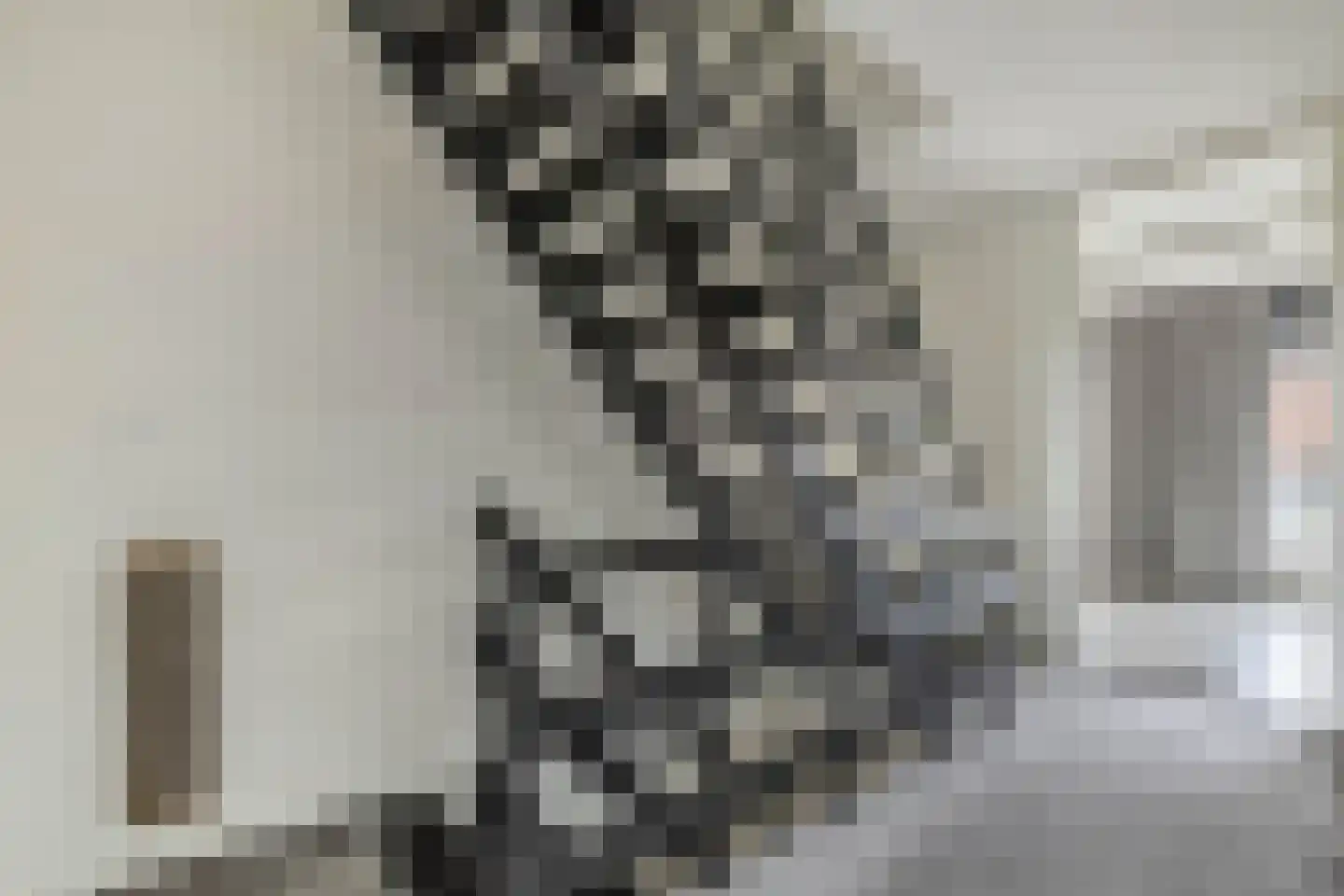 Leidijk 100 Drachten thumbnail 25