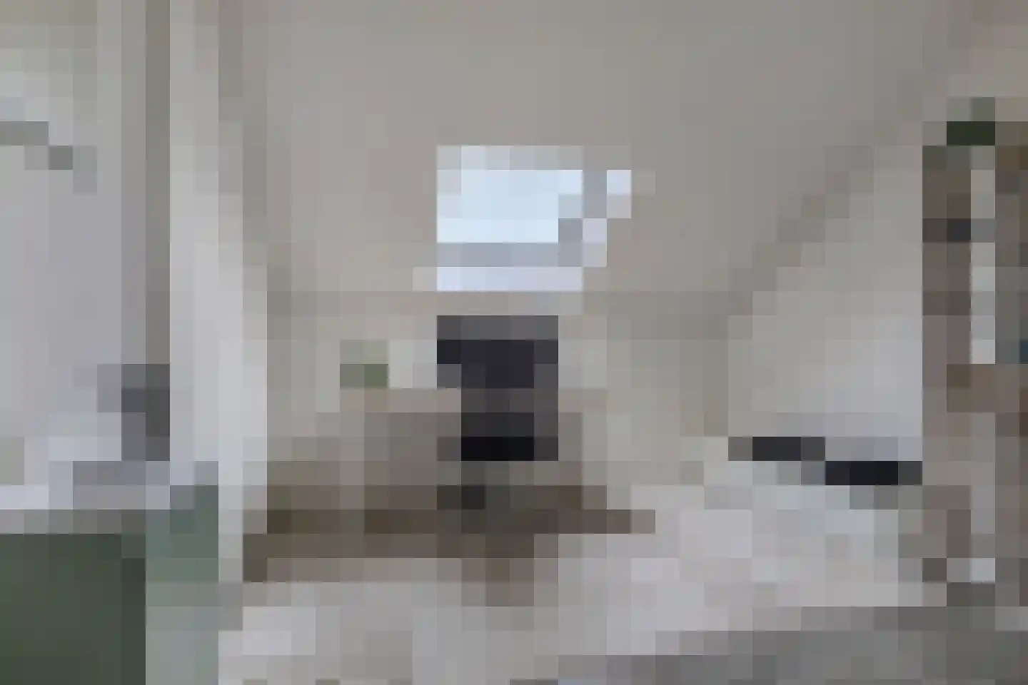 Leidijk 100 Drachten thumbnail 26