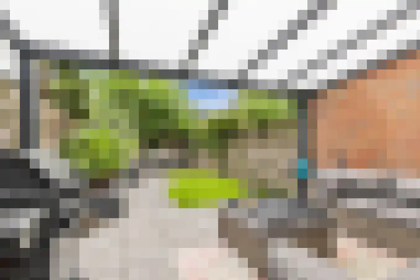 Leidijk 100 Drachten thumbnail 30