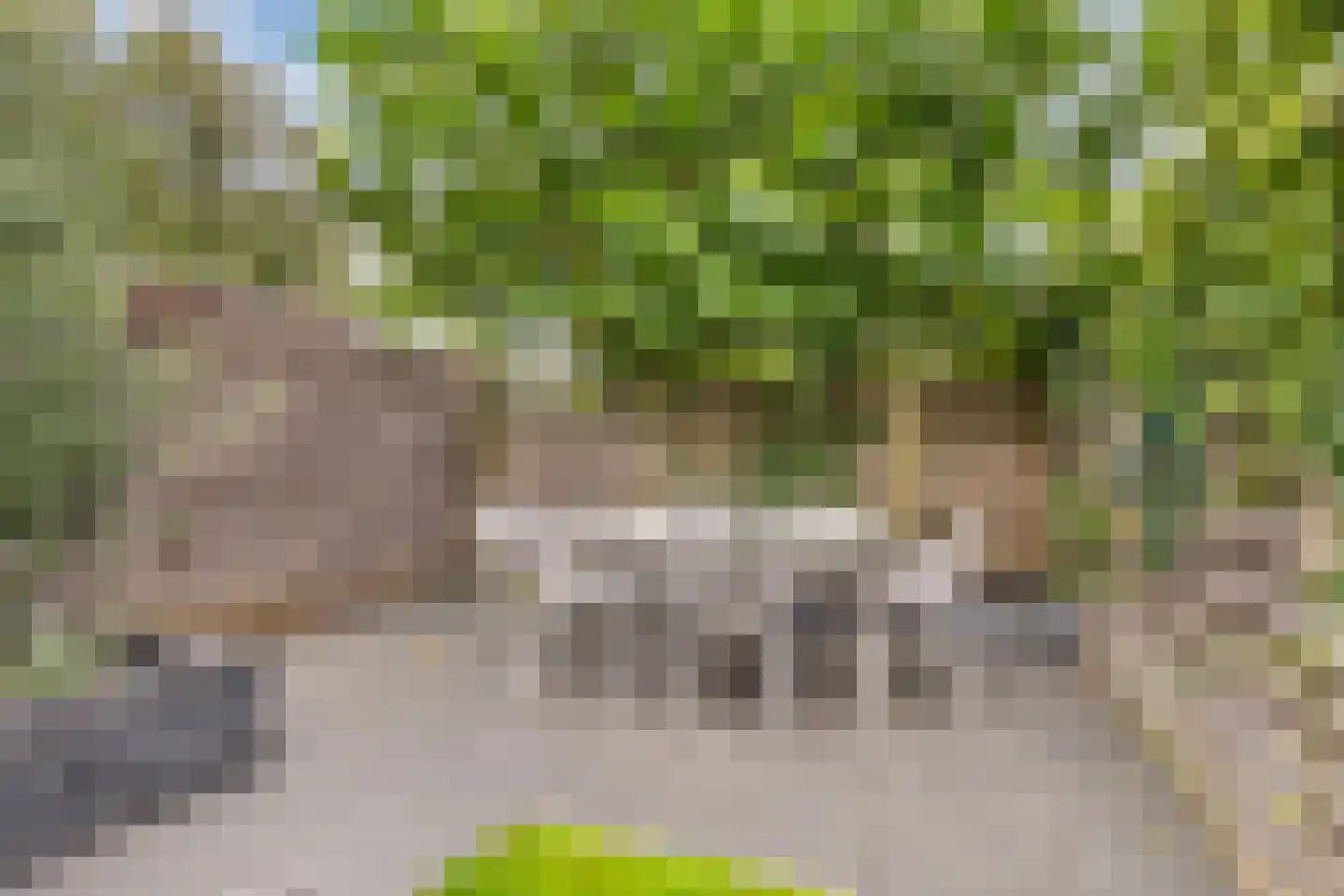 Leidijk 100 Drachten thumbnail 33