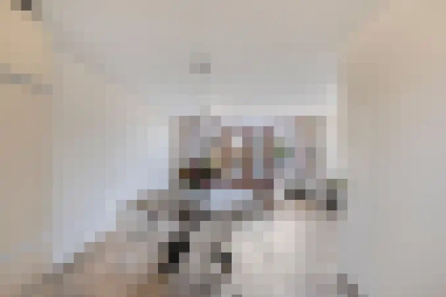 Leidijk 117 Bemmel thumbnail 17