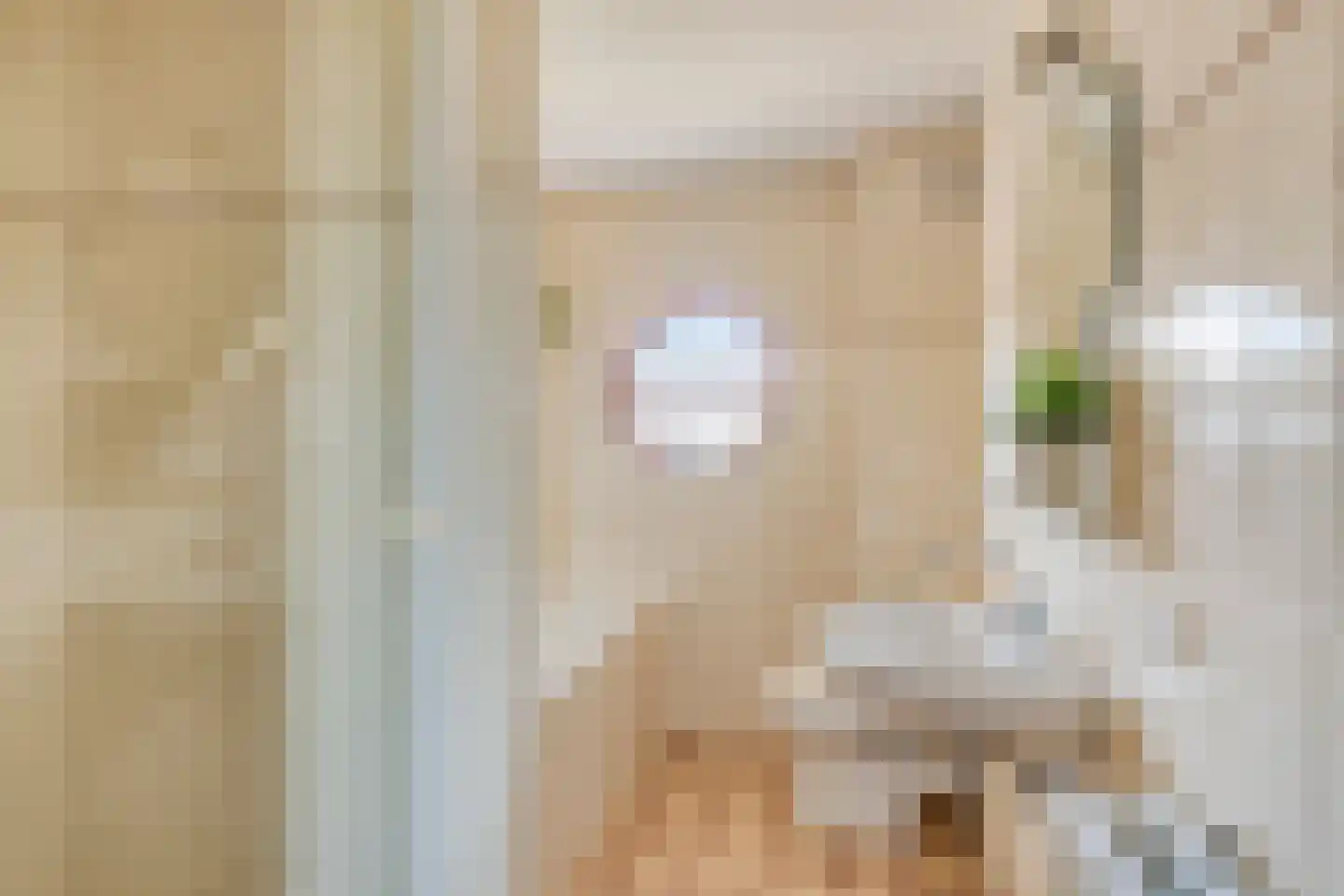 Leidijk 117 Bemmel thumbnail 21