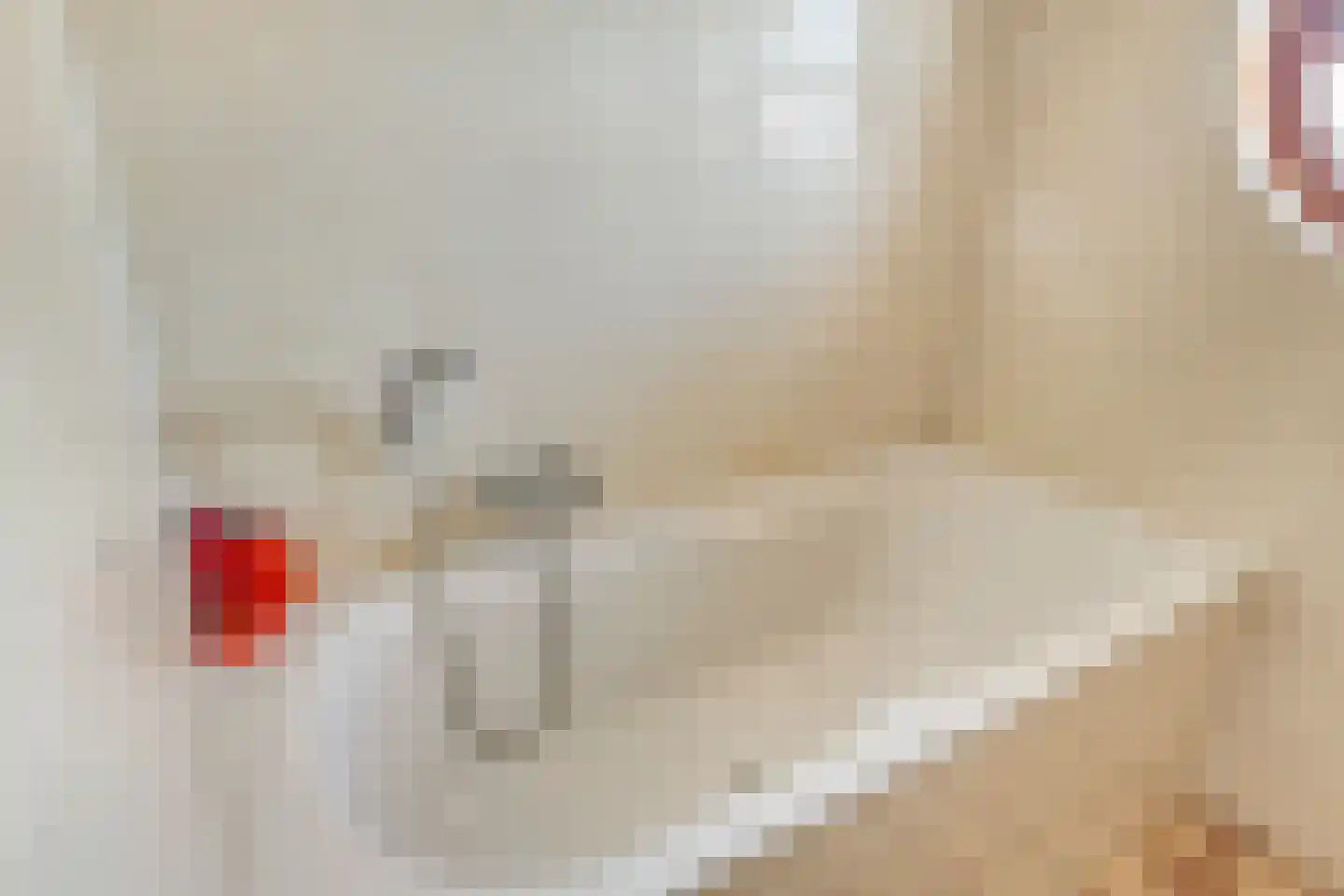 Leidijk 117 Bemmel thumbnail 23