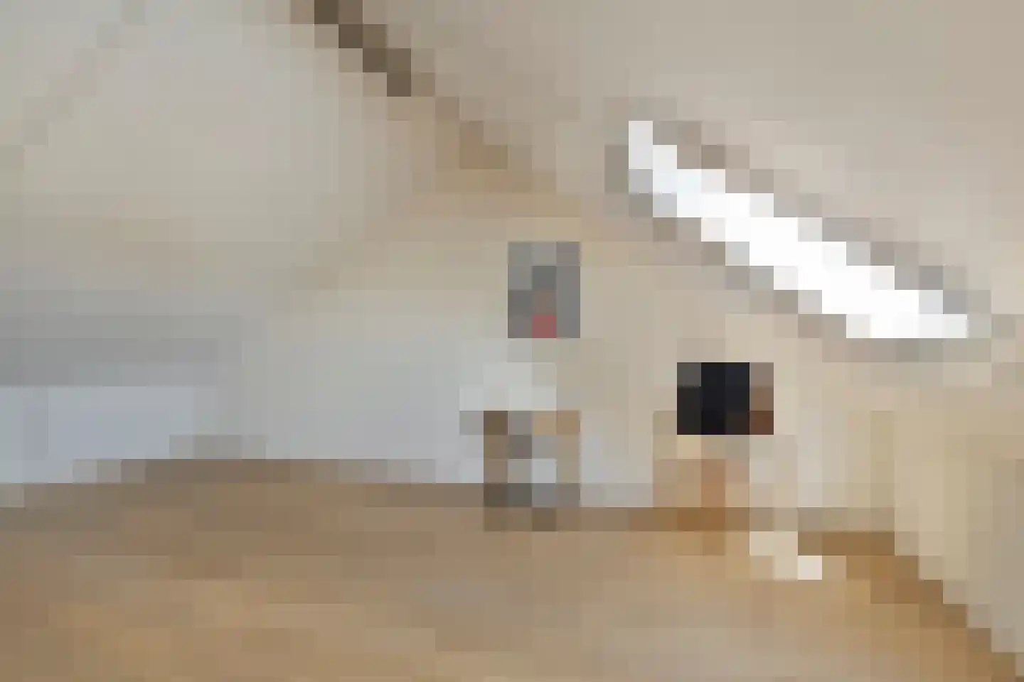 Leidijk 117 Bemmel thumbnail 28
