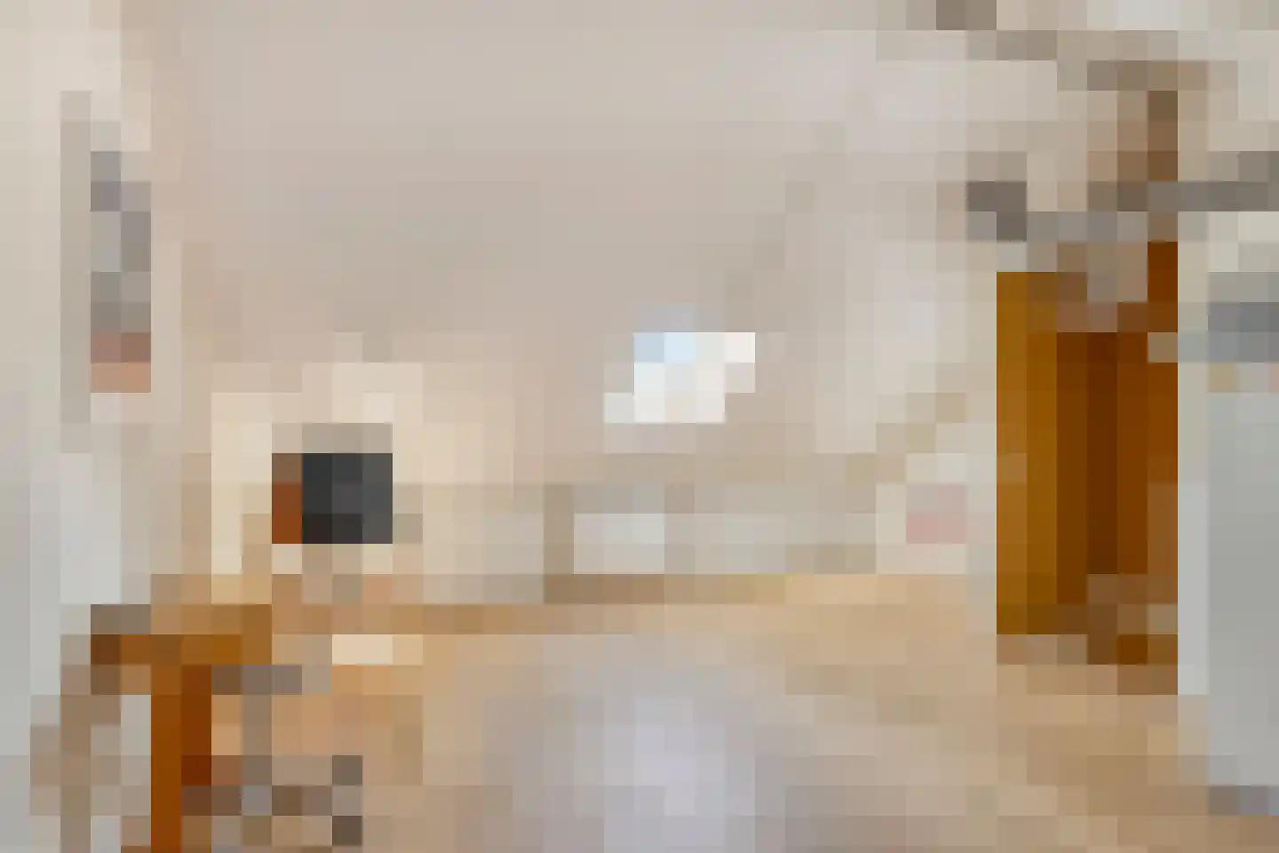 Leidijk 117 Bemmel thumbnail 30