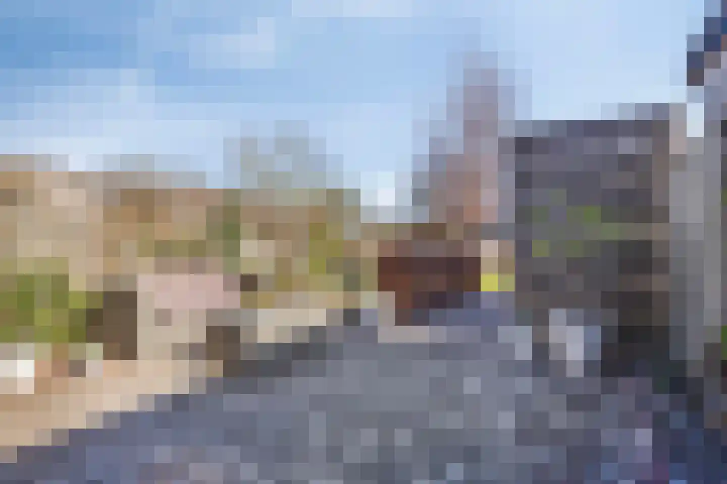 Leidijk 117 Bemmel thumbnail 31