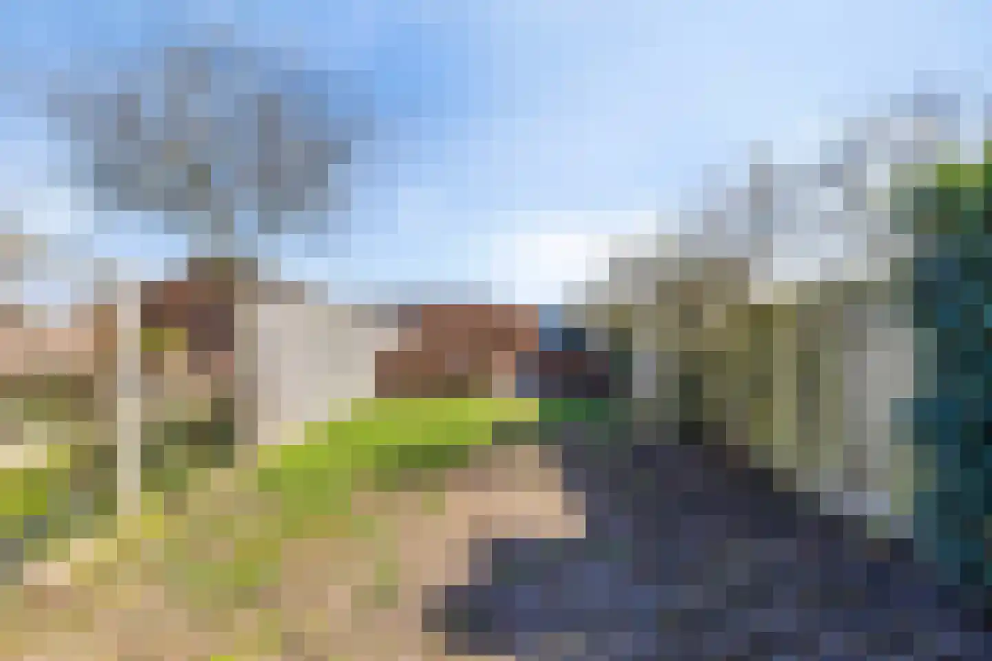 Leidijk 117 Bemmel thumbnail 34