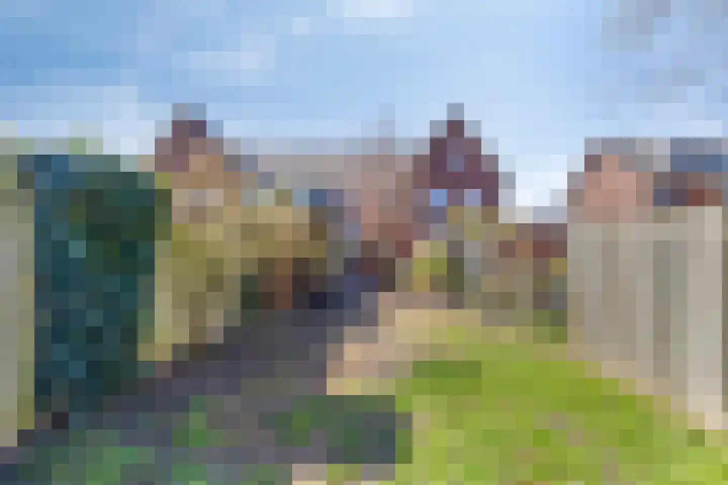 Leidijk 117 Bemmel thumbnail 37