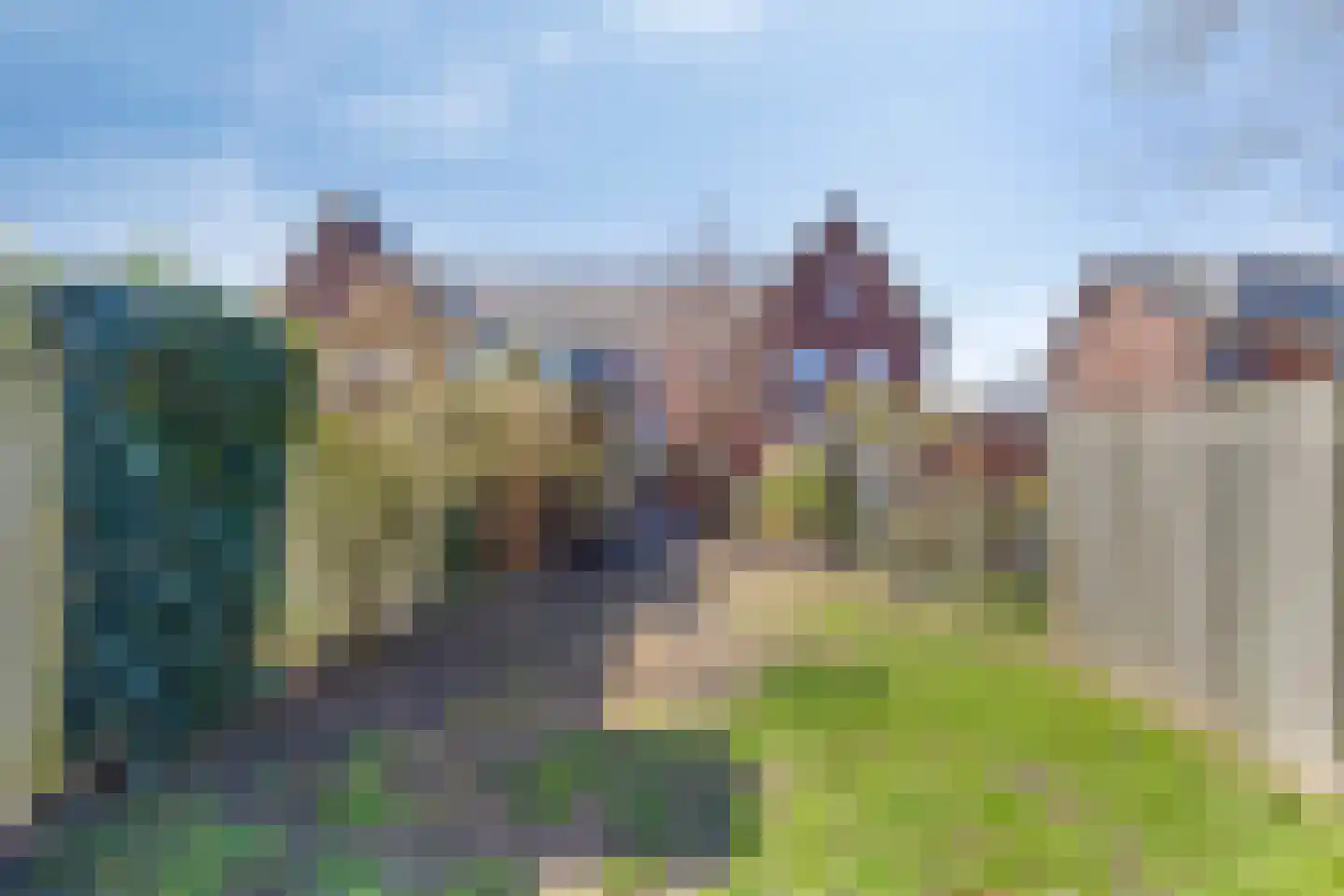 Leidijk 117 Bemmel thumbnail 5
