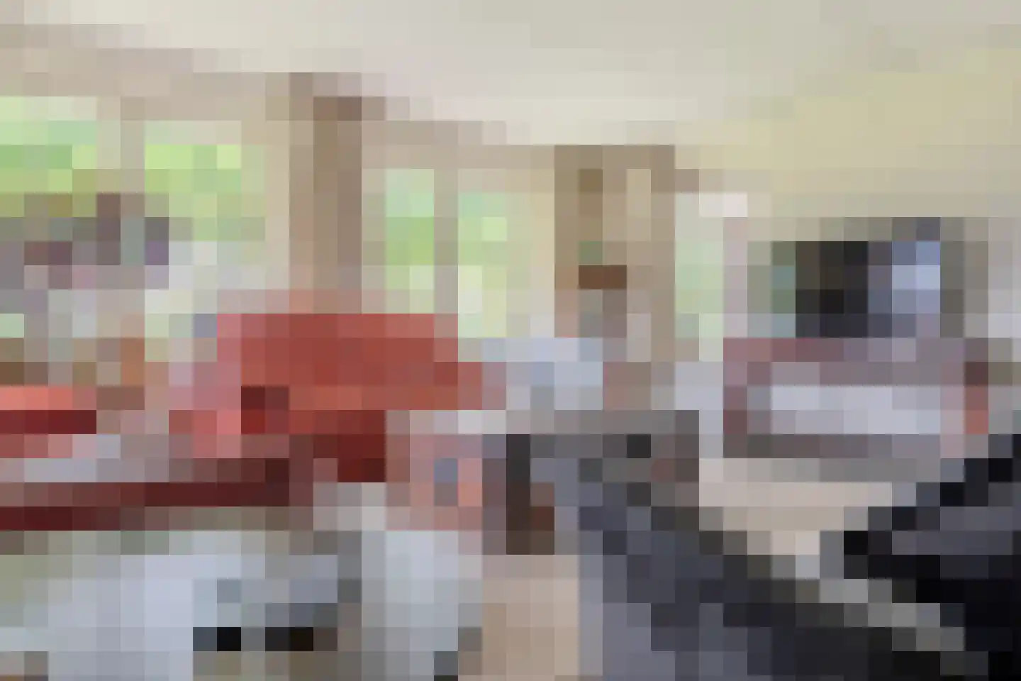 Leidijk 12 A Noordwijk thumbnail 17