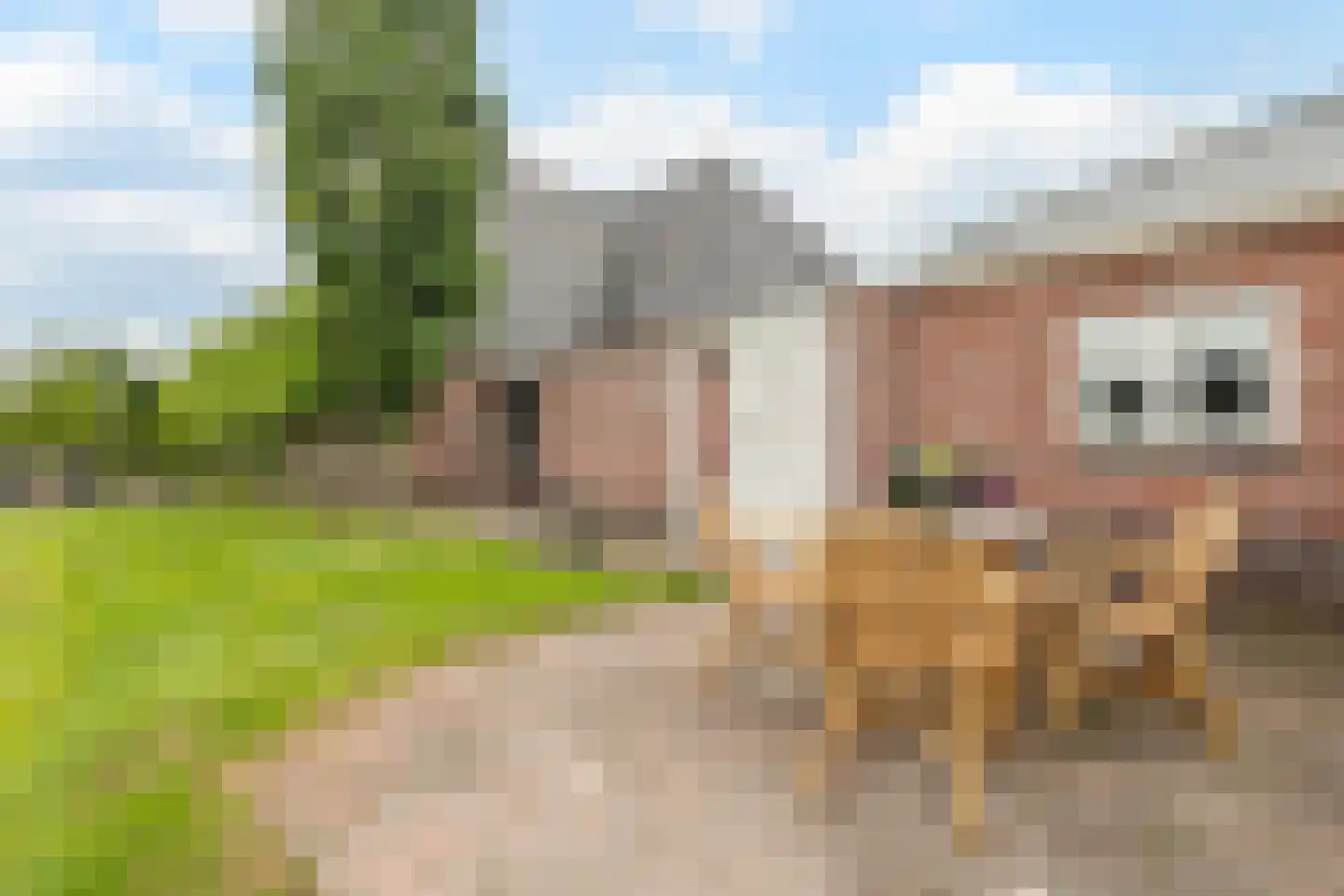 Leidijk 12 A Noordwijk thumbnail 38
