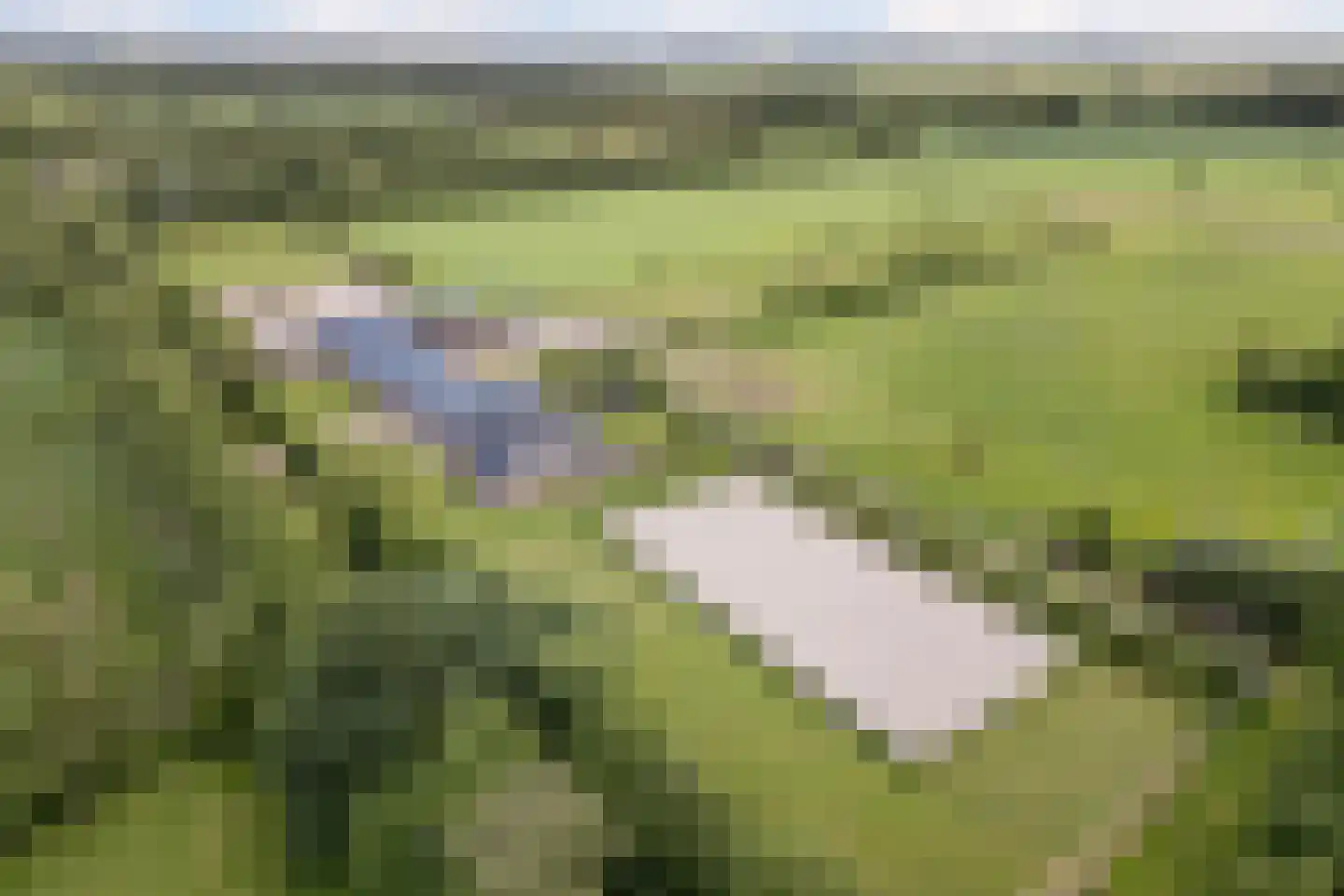 Leidijk 12 A Noordwijk thumbnail 4